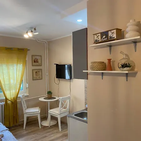 Talija * ノヴィ・サド