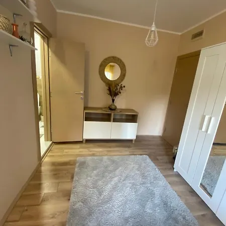 Talija ノヴィ・サド